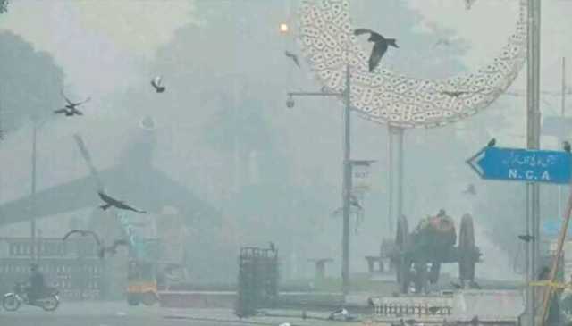 پنجاب کے مختلف شہروں کی فضا بدستور آلودہ