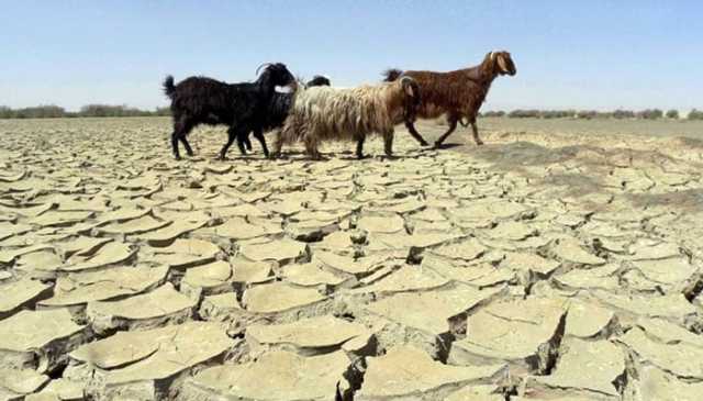 بلوچستان شدید موسمیاتی چیلنجز کا شکار