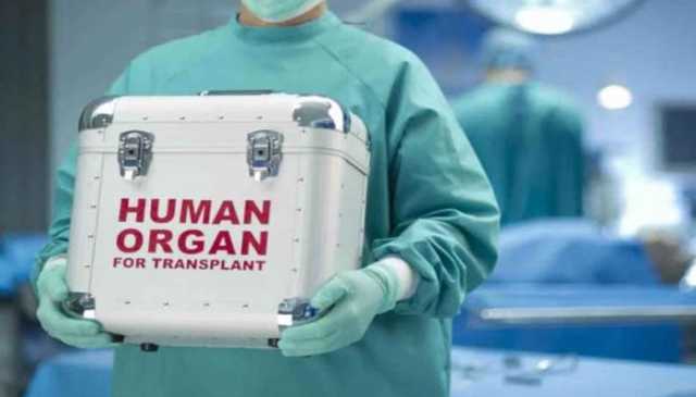 خیبر پختونخوا: گردوں کی غیرقانونی پیوندکاری میں 5 منظم نیٹ ورکس کے ملوث ہونے کا انکشاف