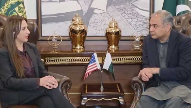 وفاقی وزیر داخلہ محسن نقوی سے قائم مقام امریکی سفیر نیٹلی بیکر کی ملاقات