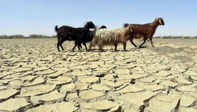 کم بارشیں، بلوچستان میں خشک سالی کی صورتحال میں شدت آنے کا خدشہ