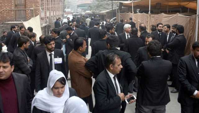 پاکستان بار الیکشن، غیر سرکاری نتائج، پنجاب کی 11 میں سے 8 نشستوں پر عاصمہ جہانگیر گروپ کامیاب