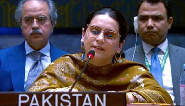 سلامتی کونسل میں پاکستان نے بھارت کو لاجواب کر دیا