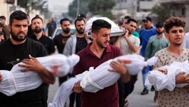 اسرائیلی یہودی فوج کے ہاتھوں500 مسلمان فلسطینی شہید