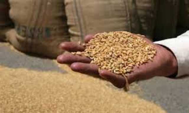 محکمہ خوراک، گندم کی خریداری میں اربوں روپے کا اسکینڈل