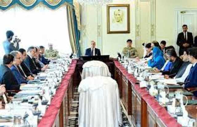 اقتصادی کونسل اجلاس،وزیراعظم سے سندھ حکومت کے شکوے