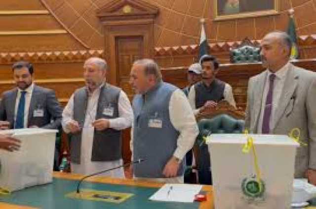 سینیٹ کے انتخابی نتائج ، کیا یہی افہام وتفہیم ہے؟