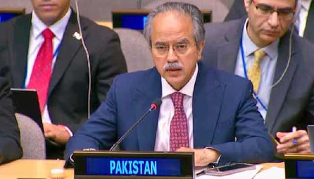 افغانستان میں دہشت گردوں کے 60 کیمپ پاکستان کیلئے خطرہ ہیں،عاصم افتخار احمد