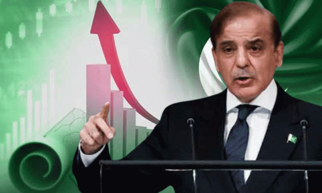 معاشی استحکام پوری ٹیم کی کاوشوں کی بدولت ممکن ہوا،شہباز شریف