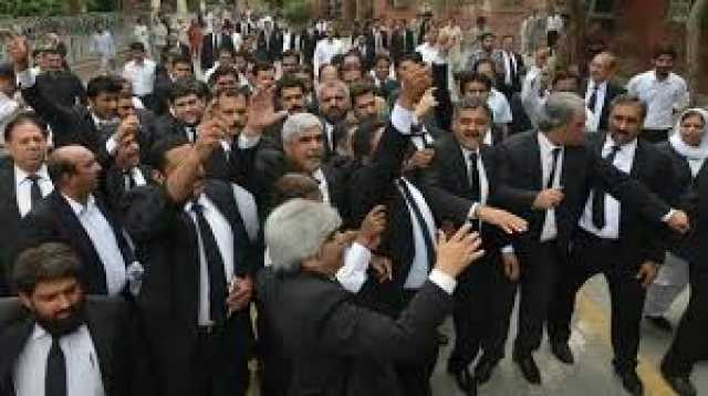 پی ٹی آئی وکلاکو گرفتار کرکے عدالت میں پیش کرنے کا حکم