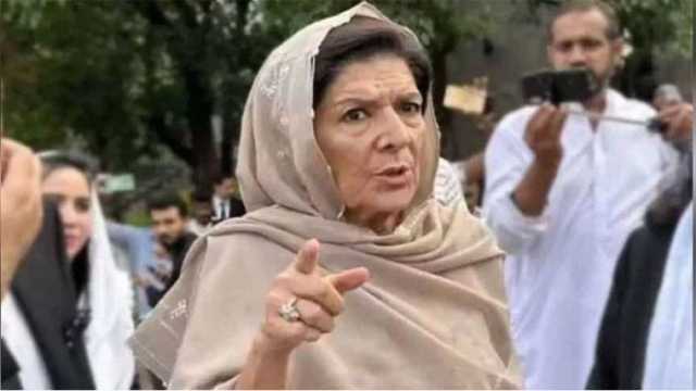 علیمہ خان کا دھرنا ، 8 کارکنان پہلے گرفتار، پھر رہا