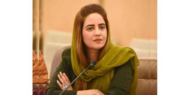 آزادی مارچ کیسز، زرتاج گل کی بریت کی درخواست پر فیصلہ محفوظ