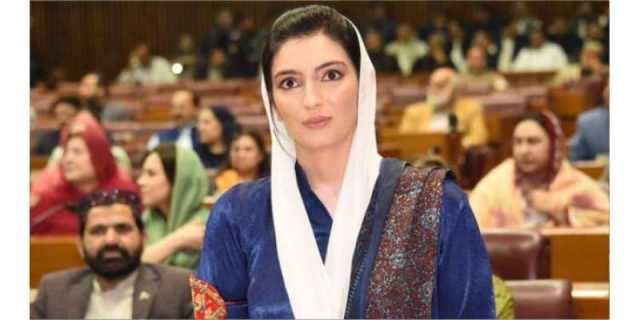 مردانہ برتری کی سوچ سے جنم لینے والا تشدد کوئی نیا یا غیر معمولی مسئلہ نہیں،آصفہ بھٹو زرداری