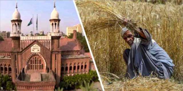 آپ جتنے بھی ٹریکٹر دے دیں اگلے سال کسان گندم نہیں اگائے گا