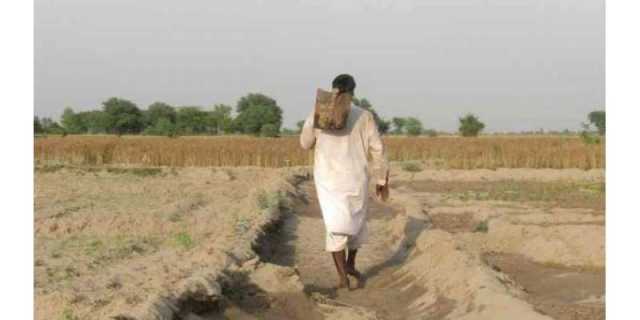 کسانوں کو صرف گندم کی فصل کی مد میں 2 ہزار 200 ارب روپے کا نقصان ہونے کا انکشاف