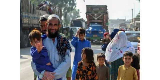 افغانستان نے پاکستان سے منگوائے گئے بیماری سے متاثرہ 15 ٹن لیموں واپس بھیج دئیے