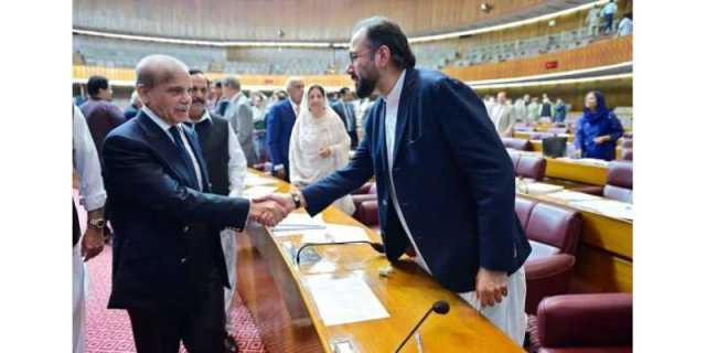 بجٹ میں معاشی استحکام، اور بیرون ملک محنت کشوں کے لیے سہولتوں کے نئے راستے کھولے گا. چوہدری سالک حسین