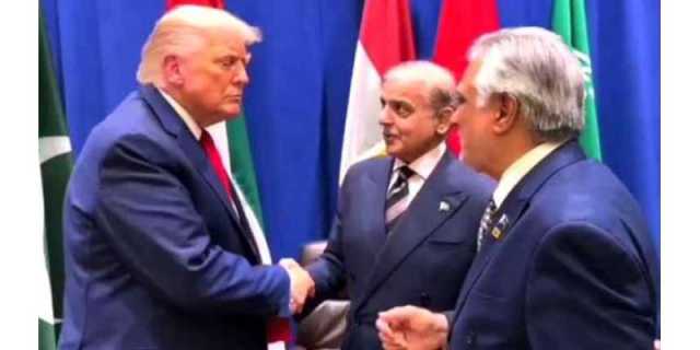 صدرٹرمپ سے ملاقات حوصلہ افزا رہی، امریکا تجارت، آئی ٹی و دیگر شعبوں میںسرمایہ کاری کیلئے تیار ہے . شہبازشریف
