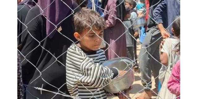 غزہ کا محاصرہ ظالمانہ اجتماعی سزا کے مترادف، ٹام فلیچر