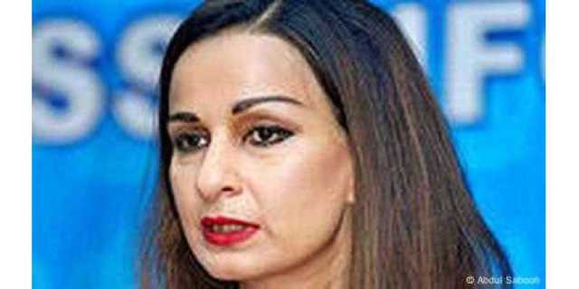 بھارت 'جھگڑنے والی ایک بے قابو طاقت' ہے، پاکستانی وفد