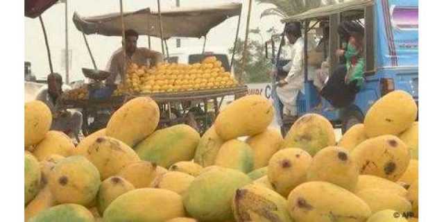 بھارت کا انور رٹول آم جو پاکستان کا سفارتی تحفہ بن گیا