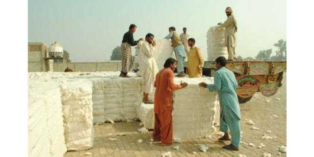 کپاس کا عالمی دن: کسانوں کی جہدوجہد کو سلام پیش کرنے کا موقع، ایف اے او