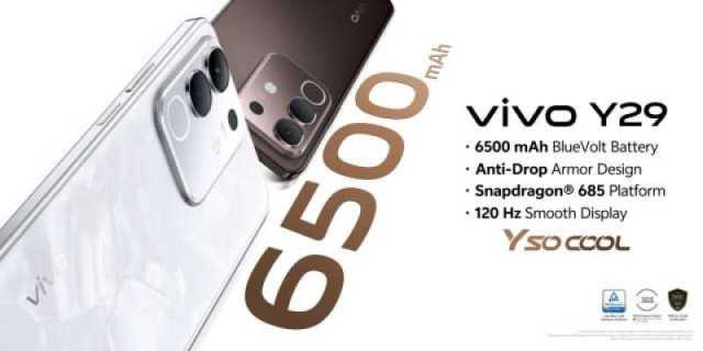 ویوو Y29 اب پاکستان میں دستیاب، 6500 mAh BlueVoltبیٹری اور Anti-Drop Armor ڈیزائن