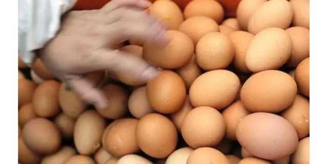 شدید گرمی کے باوجود فارمی انڈوں کی قیمت303روپے کی بلند ترین سطح پر پہنچ گئی