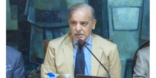 معاشی اہداف کے حصول میں کسی قسم کی کوتاہی برداشت نہیں کی جائے گی.شہبازشریف