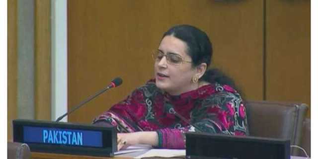 بھارت دہشتگردوں کی مالی و عسکری سرپرستی ، کشمیرمیں ظلم چھپا نہیں سکتا- ‘پاکستان کا کرارا جواب