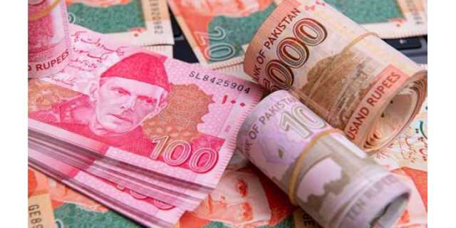 زیادہ نقدی کا استعمال سرمایہ کاری میں رکاوٹوں کا اشارہ دیتا ہے. ویلتھ پاک