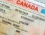 کینیڈا نے غیر ملکی کارکنان کے مستقل رہائشی ویزوں کا اعلان کردیا
