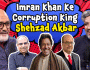 عمران خان کے سابق معاون خصوصی شہزاد اکبر (ڈمی) کا خصوصی انٹرویو