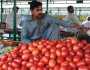 ٹماٹروں کی فی کلو قیمت 600 روپے سے بھی تجاوز کر گئی، سبب کیا ہے؟