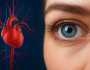 آنکھوں کا ویسکولر سسٹم دل کی بیماریوں کے خطرات ظاہر کرسکتا ہے، تحقیق