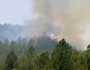 دیر لوئر کے جنگلات میں لگنے والی آگ بے قابو، عوام سے مدد کی اپیل