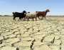 بلوچستان، 11 اضلاع میں بارشیں 80 فیصد تک کم، خشک سالی کے آثار نمایاں