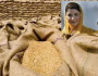 کاشتکار بھائیوں کے لئےوزیراعلی مریم نواز کی جانب سےگندم کی نقل و حمل کی اجازت