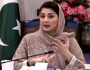 بچوں کی سلامتی کو یقینی بنانا اجتماعی ذمہ داری ہے، مریم نواز