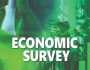 رواں مالی سال معاشی نمو کا ہدف حاصل نہ ہو سکا، اقتصادی سروے کو حتمی شکل دیدی گئی