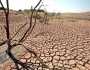 محکمہ موسمیات نے ناکافی بارشوں کے باعث خشک سالی کا اندیشہ ظاہر کردیا