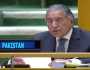 پاکستان نے اقوام متحدہ کی سلامتی کونسل میں نئی مستقل نشستوں کی مخالفت کردی