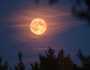 رواں سال کا پہلا سپر مون آج آسمان پر جگمگائے گا، پاکستان میں بھی نظارہ ممکن؟