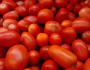 ٹماٹر مرغی کے گوشت سے بھی مہنگا