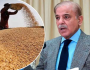 حکومت نے گندم خریداری کا منصوبہ تیار کرلیا