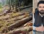 سہیل آفریدی کا درختوں کی کٹائی پر زیرو ٹالرنس اور ٹمبر مافیا کیخلاف کارروائی کا حکم