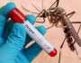 اسلام آباد میں ڈینگی کے وار ، گزشتہ 24 گھنٹوں کے دوران 10 نئے کیسز رپورٹ