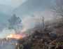 شہر سوات کے علاقے میں واقع فضاگٹ دارالقضاء کی پہاڑی پر آگ بھڑک اٹھی