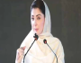 خواہش ہے کہ پنجاب کے ہر ضلع میں دل کا ہسپتال ہو: وزیراعلیٰ پنجاب