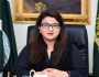 پاکستان 2026 کے لیے ڈیجیٹل کوآپریشن آرگنائزیشن کا صدر منتخب